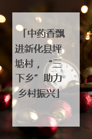 中药香飘进新化县坪塘村，“三下乡”助力乡村振兴