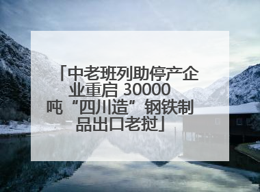 中老班列助停产企业重启 30000吨“四川造”钢铁制品出口老挝