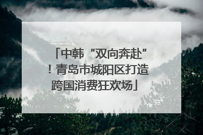 中韩“双向奔赴”！青岛市城阳区打造跨国消费狂欢场