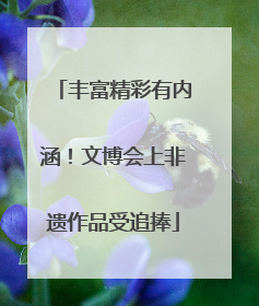 丰富精彩有内涵！文博会上非遗作品受追捧