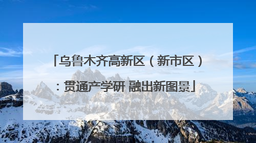 乌鲁木齐高新区（新市区）：贯通产学研 融出新图景