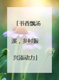 书香飘汤溪，乡村振兴添动力