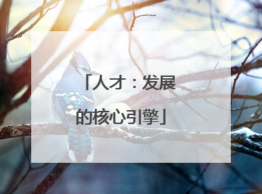 人才：发展的核心引擎