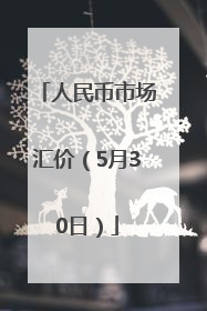 人民币市场汇价（5月30日）