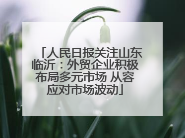 人民日报关注山东临沂：外贸企业积极布局多元市场 从容应对市场波动