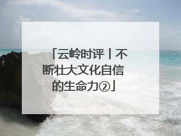 云岭时评丨不断壮大文化自信的生命力②