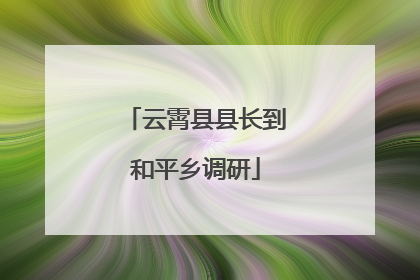 云霄县县长到和平乡调研