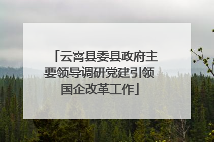 云霄县委县政府主要领导调研党建引领国企改革工作