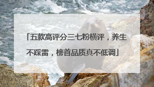 五款高评分三七粉横评，养生不踩雷，榜首品质真不低调