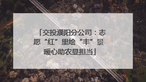 交投濮阳分公司：志愿“红”里绘“丰”景 暖心助农显担当