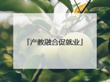 产教融合促就业