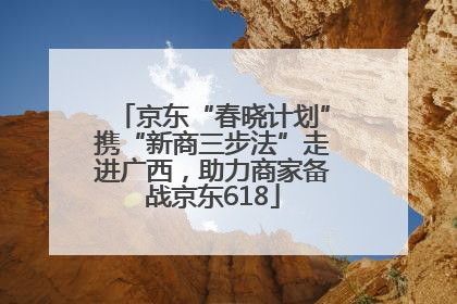 京东“春晓计划”携“新商三步法”走进广西，助力商家备战京东618