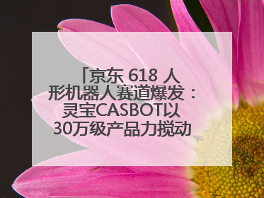 京东 618 人形机器人赛道爆发：灵宝CASBOT以30万级产品力搅动行业新变局