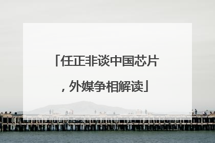 任正非谈中国芯片，外媒争相解读