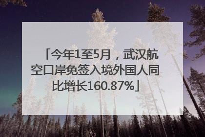 今年1至5月，武汉航空口岸免签入境外国人同比增长160.87%