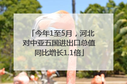 今年1至5月，河北对中亚五国进出口总值同比增长1.1倍