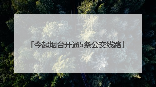 今起烟台开通5条公交线路