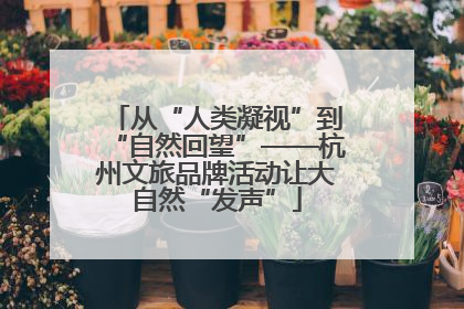 从“人类凝视”到“自然回望”——杭州文旅品牌活动让大自然“发声”