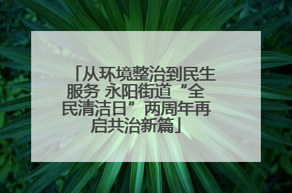 从环境整治到民生服务 永阳街道“全民清洁日”两周年再启共治新篇