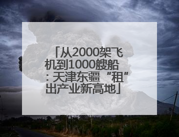 从2000架飞机到1000艘船：天津东疆“租”出产业新高地