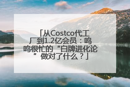 从Costco代工厂到1.2亿会员：鸣鸣很忙的“白牌进化论”做对了什么？
