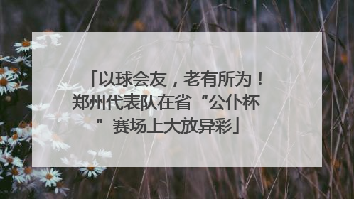 以球会友，老有所为！郑州代表队在省“公仆杯”赛场上大放异彩