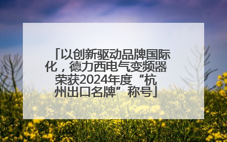 以创新驱动品牌国际化，德力西电气变频器荣获2024年度“杭州出口名牌”称号