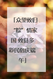 众望攸归“粽”情家国 攸县多彩民俗庆端午