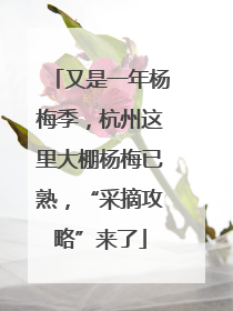 又是一年杨梅季，杭州这里大棚杨梅已熟，“采摘攻略”来了