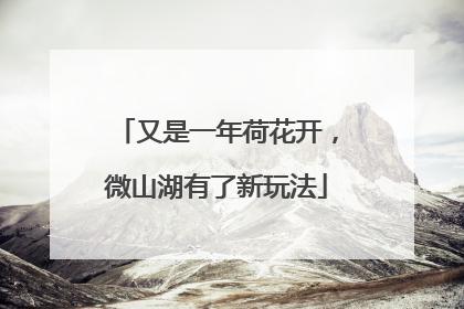 又是一年荷花开，微山湖有了新玩法