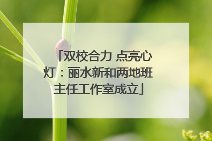 双校合力 点亮心灯：丽水新和两地班主任工作室成立