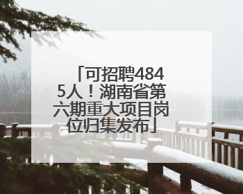 可招聘4845人！湖南省第六期重大项目岗位归集发布
