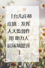 台儿庄邳庄镇：发挥人大监督作用 助力人居环境提升