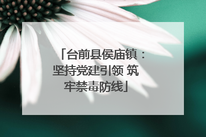 台前县侯庙镇：坚持党建引领 筑牢禁毒防线