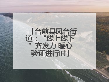 台前县凤台街道：“线上线下”齐发力 暖心验证进行时