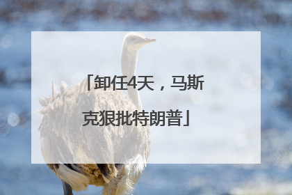 卸任4天，马斯克狠批特朗普