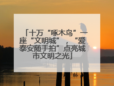 十万“啄木鸟”一座“文明城”，“爱泰安随手拍”点亮城市文明之光