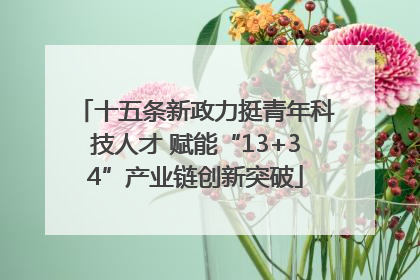 十五条新政力挺青年科技人才 赋能“13+34”产业链创新突破