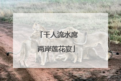千人流水席 两岸莲花宴