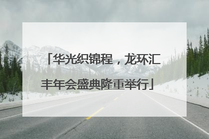 华光织锦程，龙环汇丰年会盛典隆重举行