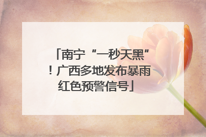 南宁“一秒天黑”！广西多地发布暴雨红色预警信号