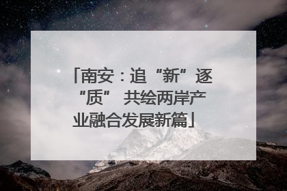 南安：追“新”逐“质” 共绘两岸产业融合发展新篇