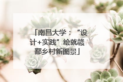 南昌大学：“设计+实践”绘就赣鄱乡村新图景
