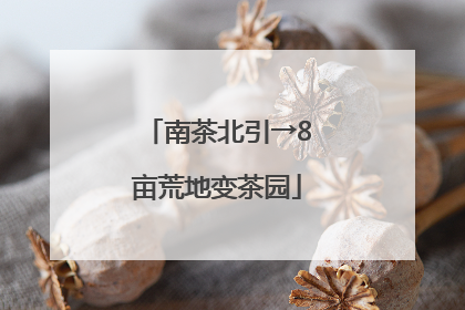 南茶北引→8亩荒地变茶园