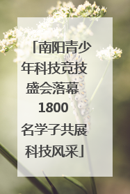 南阳青少年科技竞技盛会落幕 1800 名学子共展科技风采