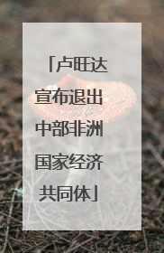 卢旺达宣布退出中部非洲国家经济共同体