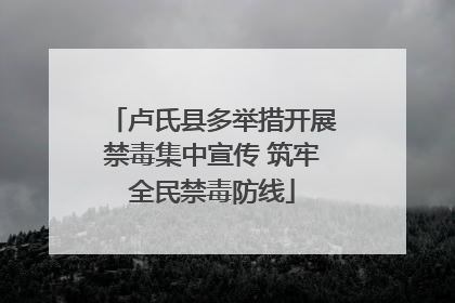 卢氏县多举措开展禁毒集中宣传 筑牢全民禁毒防线
