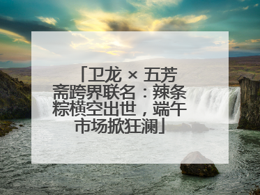 卫龙 × 五芳斋跨界联名：辣条粽横空出世，端午市场掀狂澜