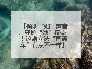 倾听“她”声音、守护“她”权益！这趟立法“直通车”有点不一样