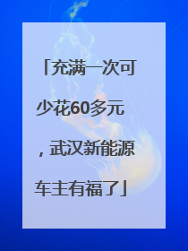 充满一次可少花60多元，武汉新能源车主有福了